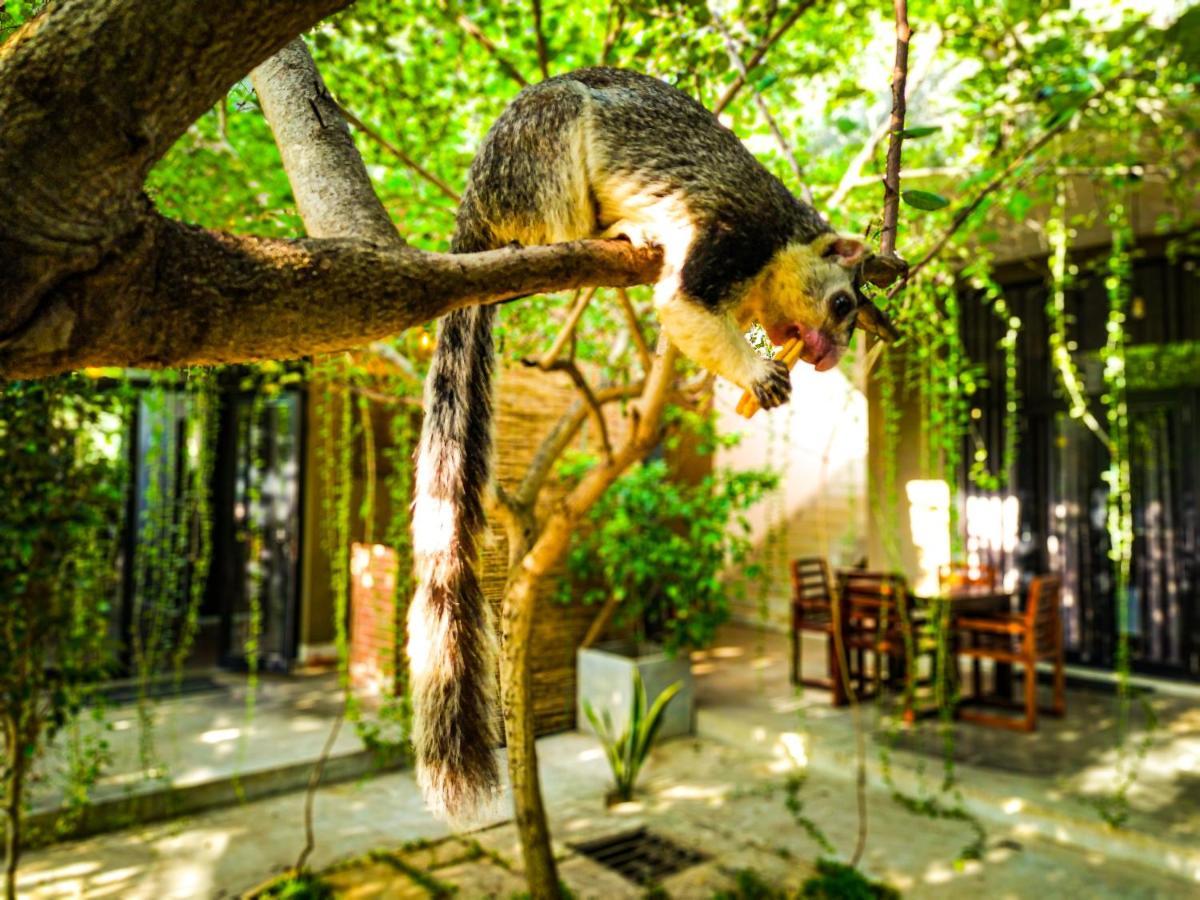 Isi Arana Eco Villa Anuradhapura Exteriör bild