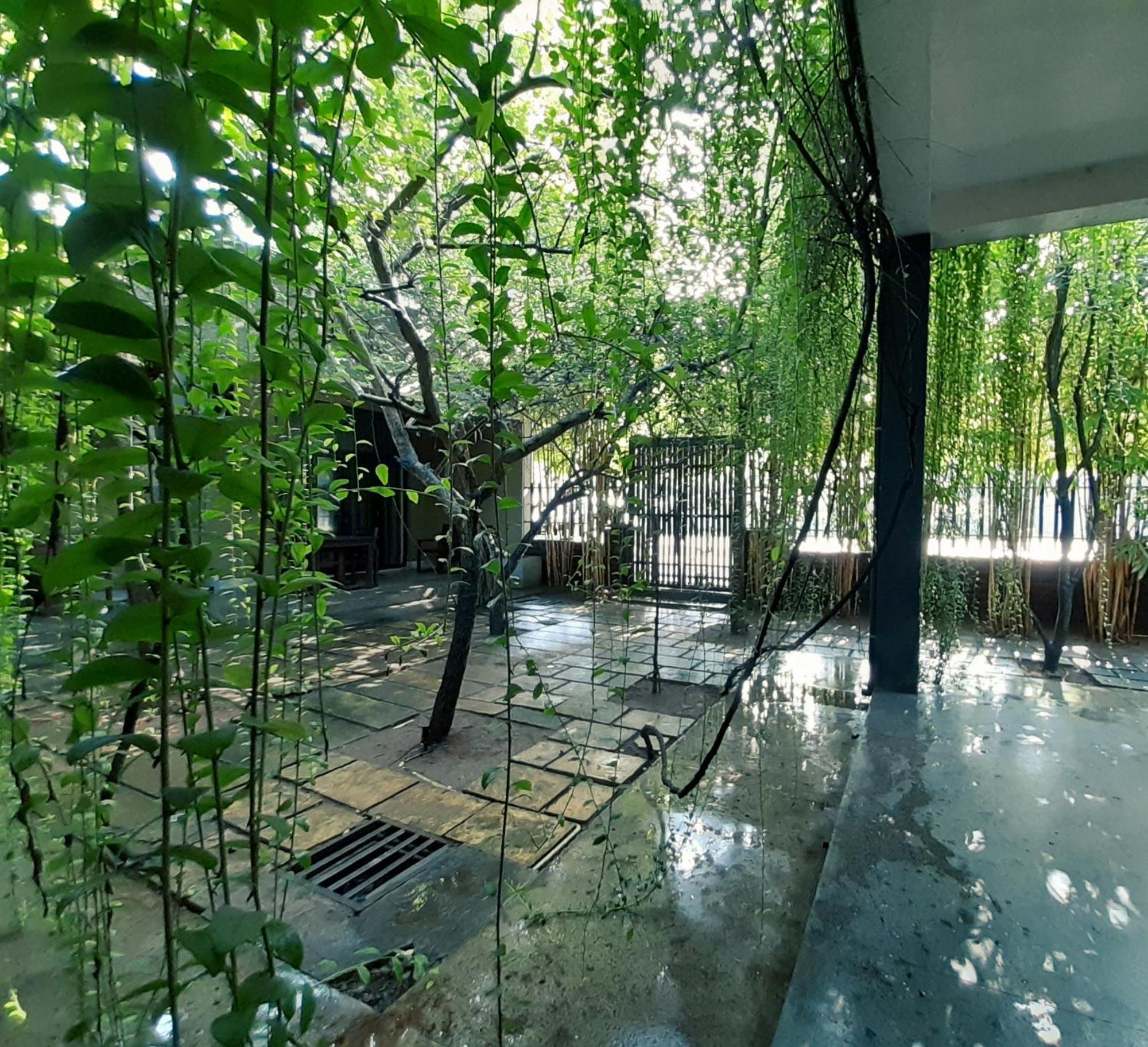 Isi Arana Eco Villa Anuradhapura Exteriör bild